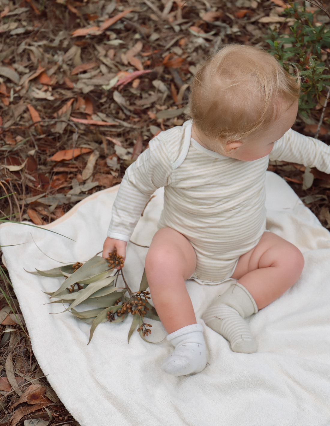 Organic Stripe Jersey Baby Bodysuit  Brown/Natural