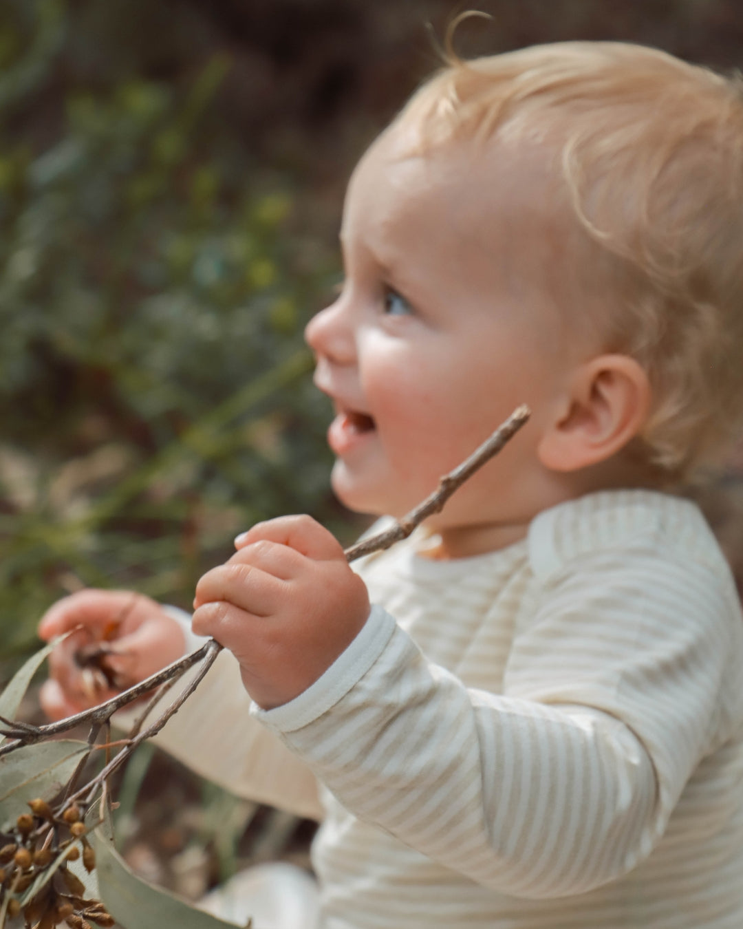 Organic Stripe Jersey Baby Bodysuit  Brown/Natural