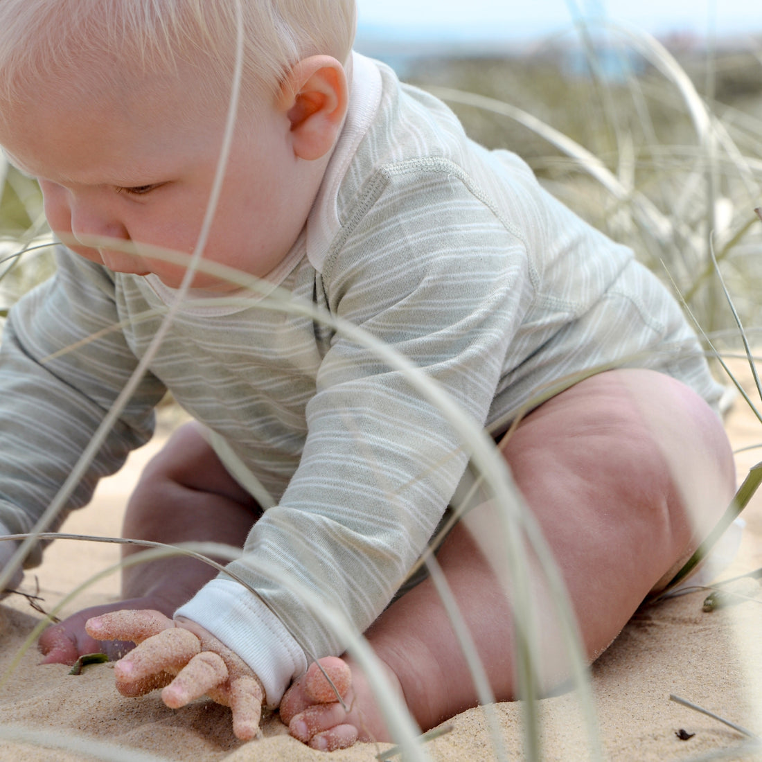 Organic Stripe Jersey Baby Bodysuit  Sage/Natural
