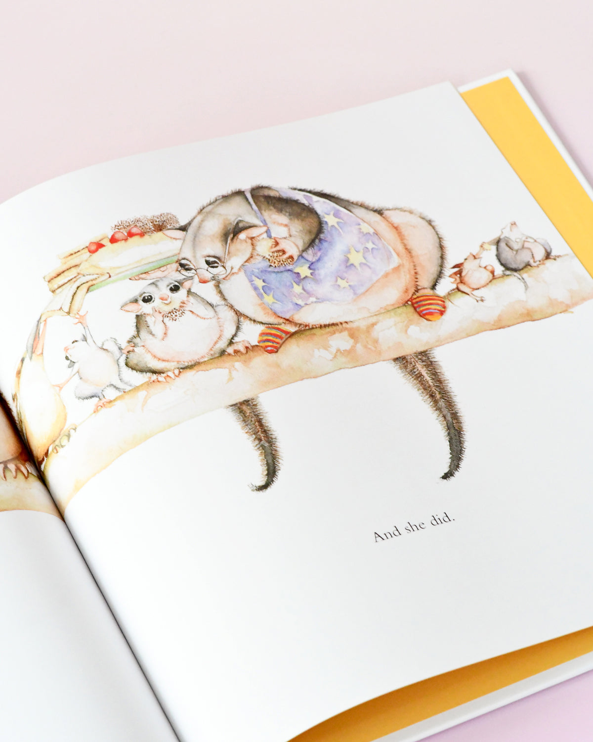 Possum Magic Book by Mem Fox and Julie Vivas
