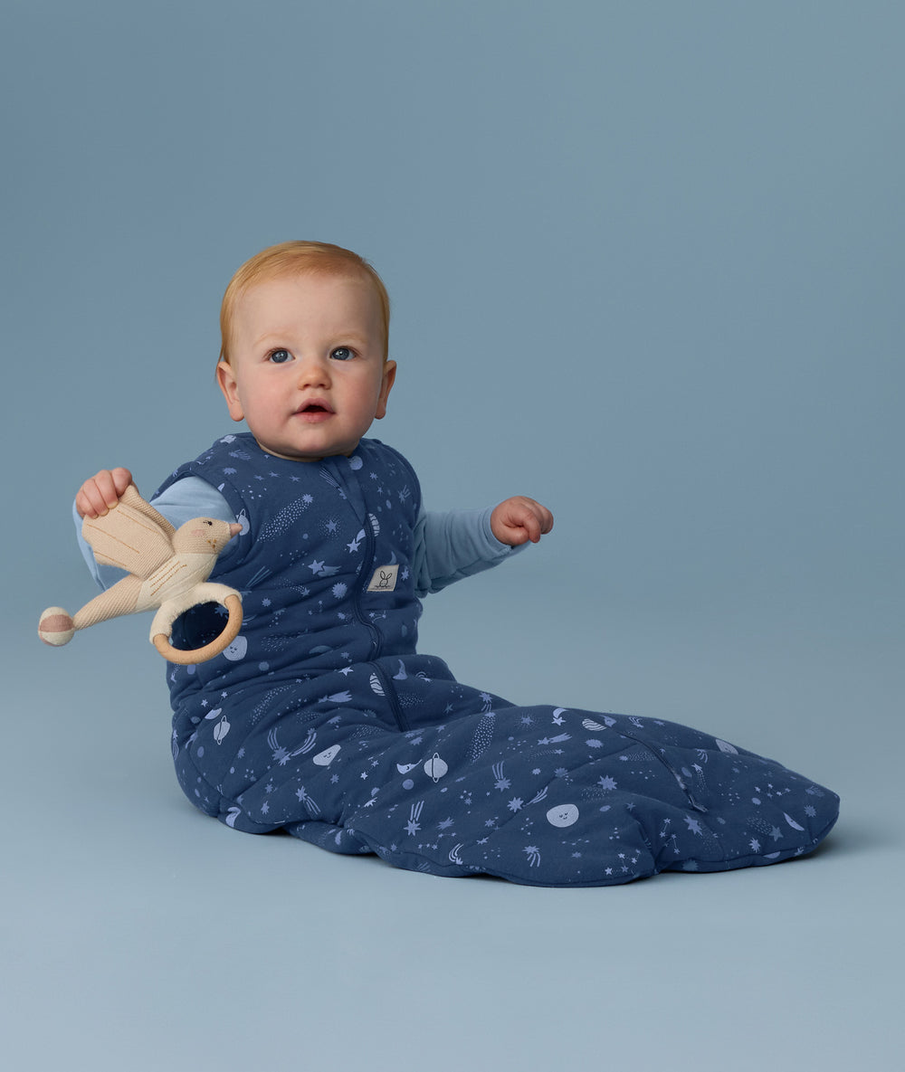Sleeping Bag 2.5 TOG