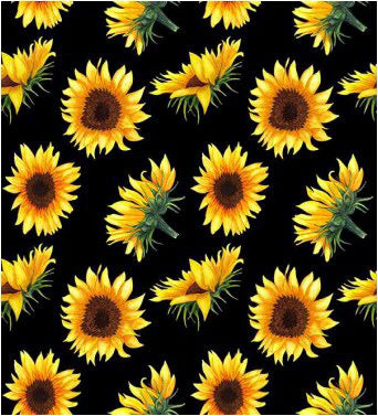 Reusable Breast Pads