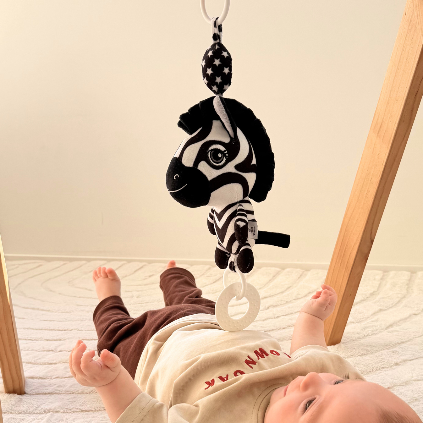 Ziggy the Zebra High Contrast Sensory Hanging Toy