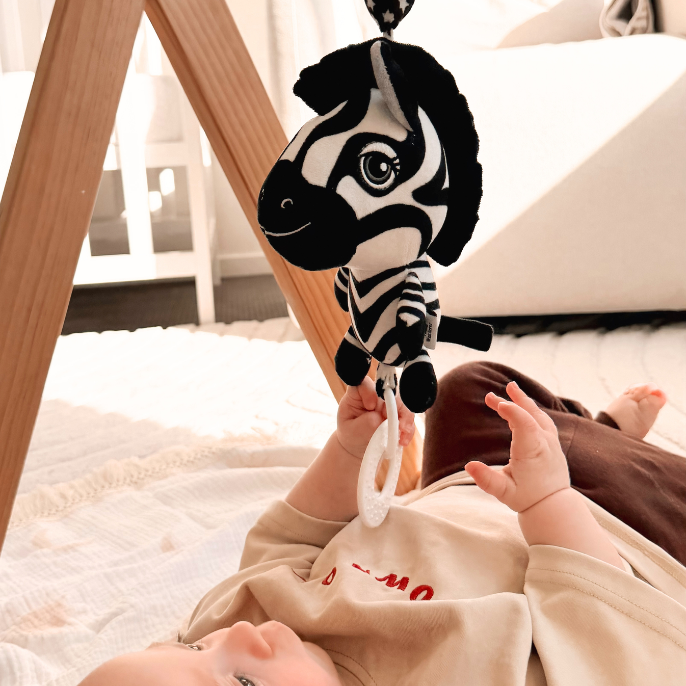 Ziggy the Zebra High Contrast Sensory Hanging Toy