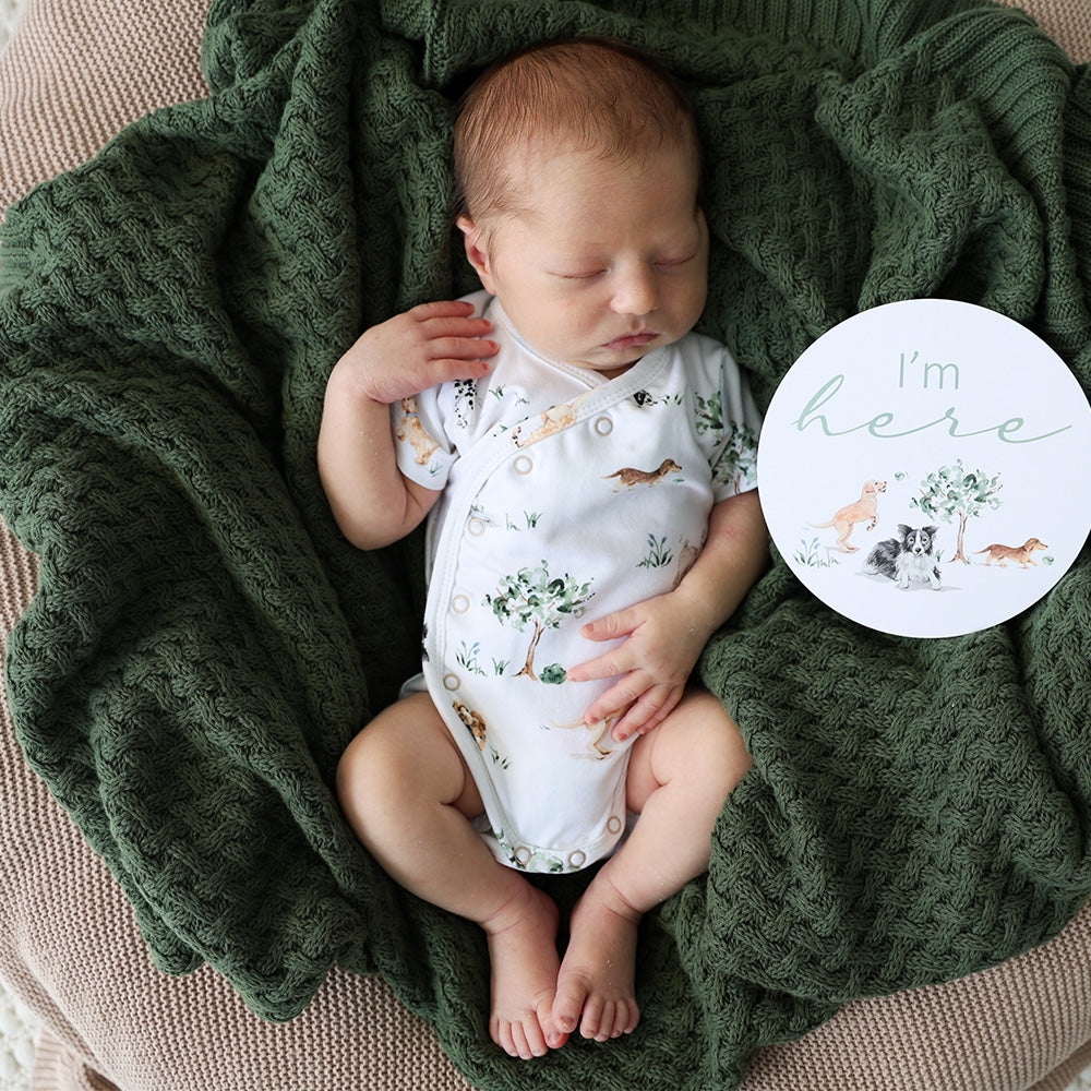 Snuggle Hunny Short Sleeve Organic Kimono Bodysuit