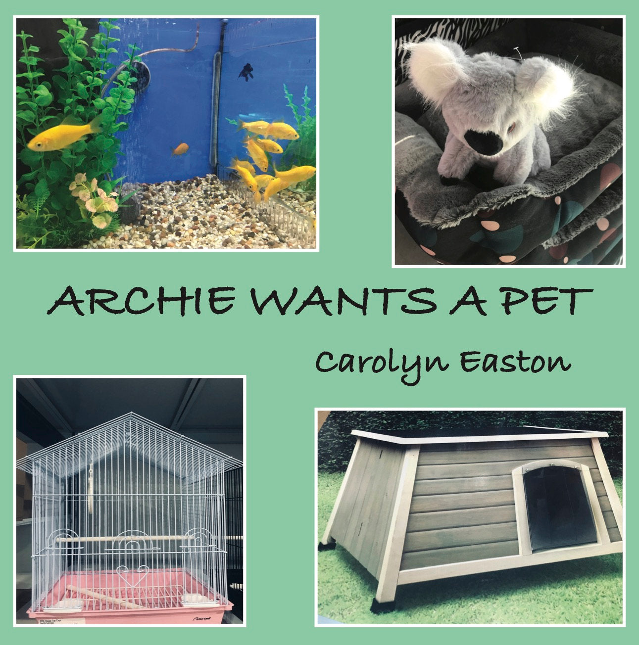 Archie wants a Pet