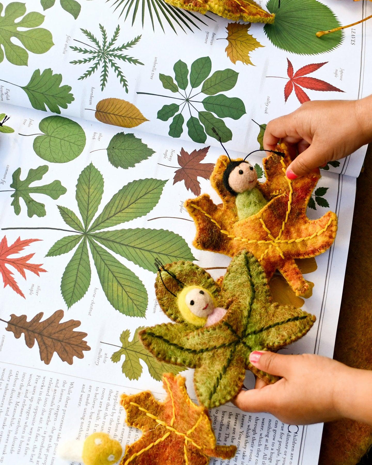 Felt Chestnut Leaf Baby