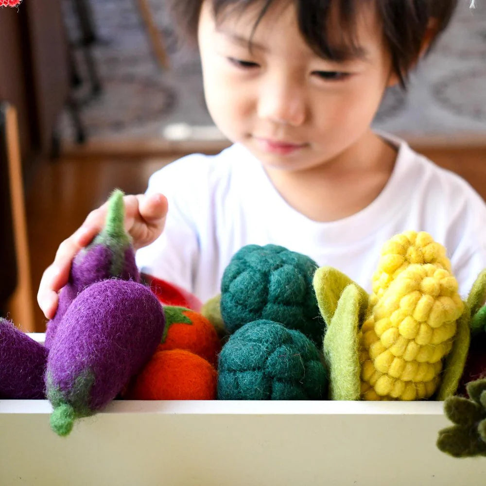 Felt Vegetables and Fruits Sets