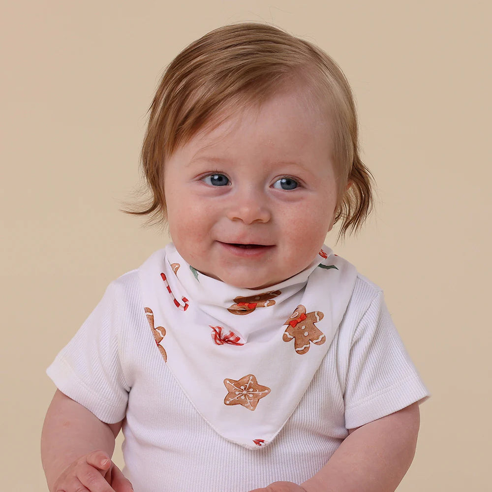 Christmas Organic Dribble Bib