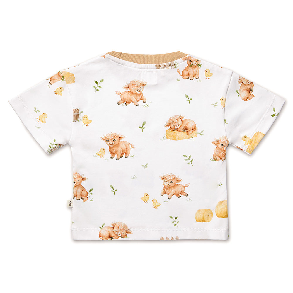 Highland Cows Organic Oversized Tee