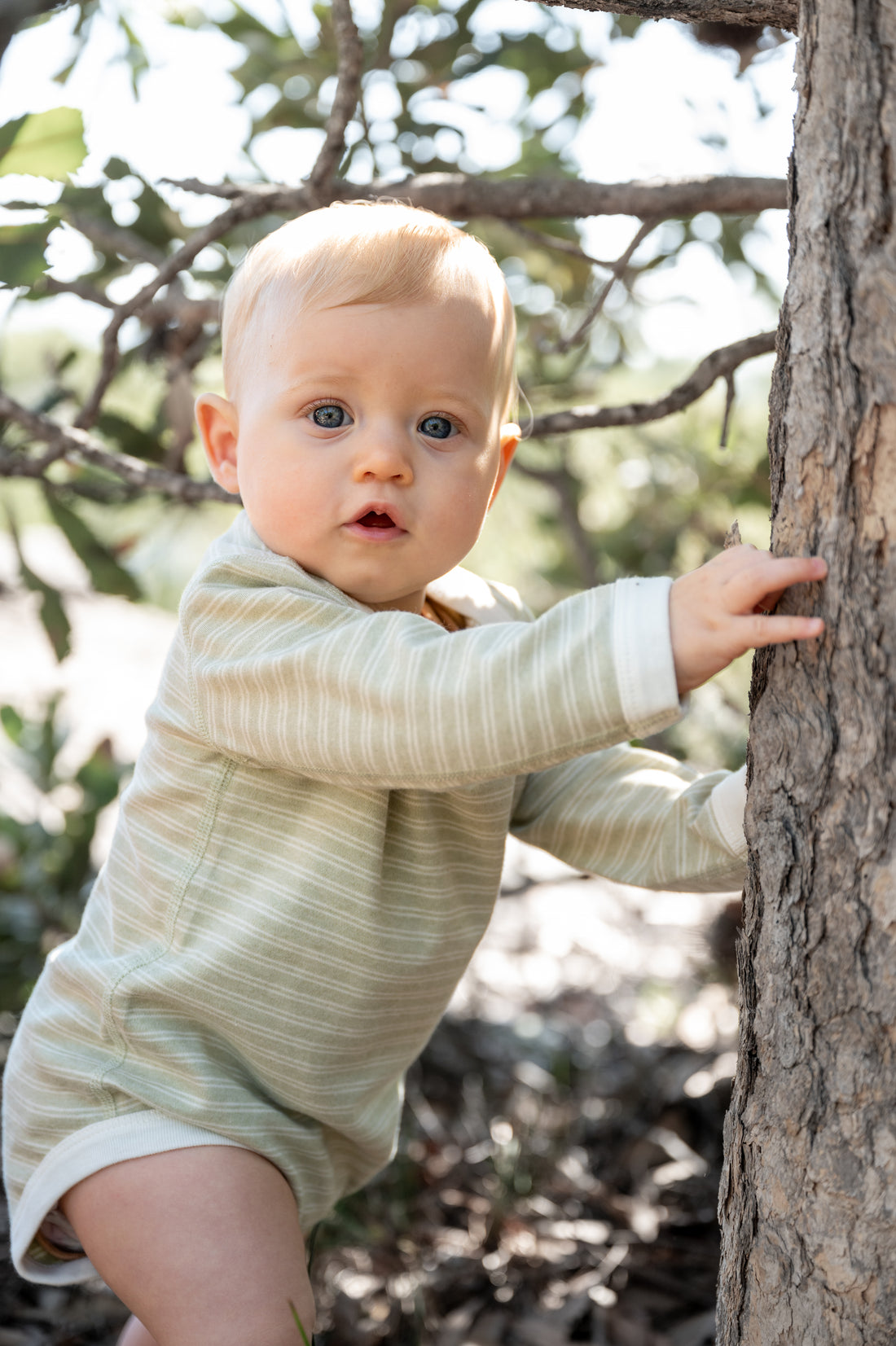 Organic Stripe Jersey Baby Bodysuit  Sage/Natural