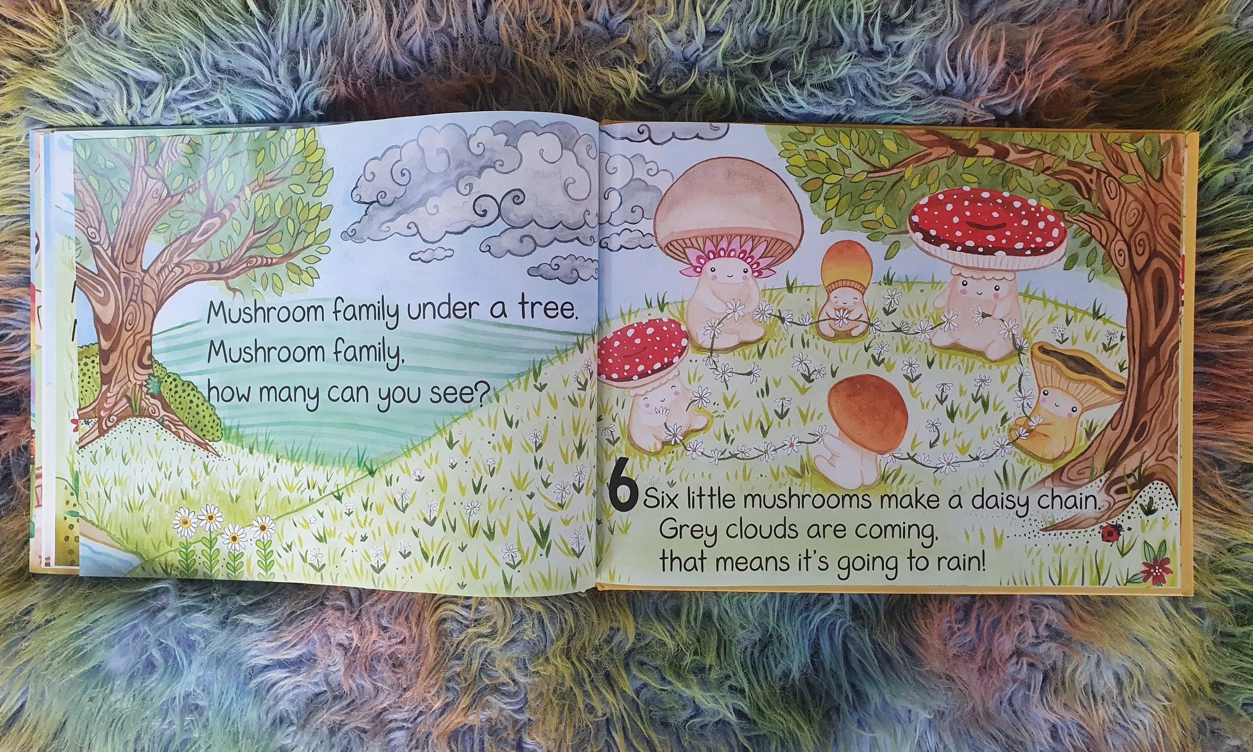 Mushroom Family
