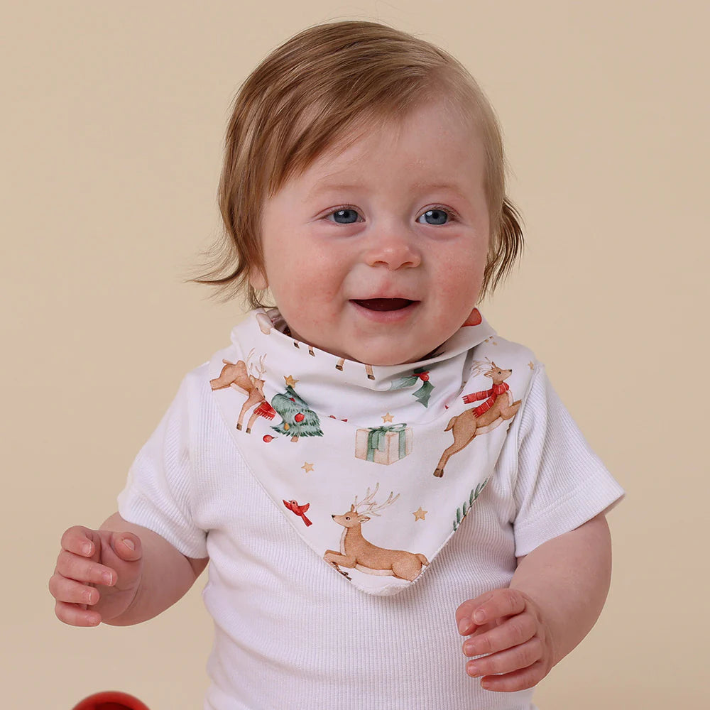 Christmas Organic Dribble Bib