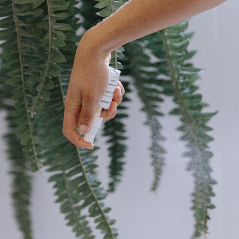 Witch Hazel Perineum Spray