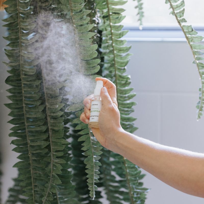 Witch Hazel Perineum Spray